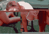 AKIKO165.gif 3.4K